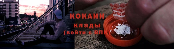 индика Пушкино