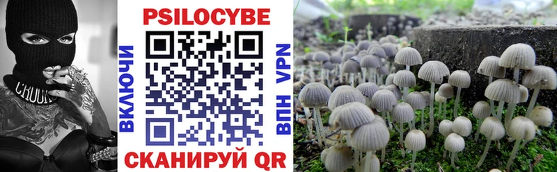 MEGA ссылки  хочу   Дятьково  Галлюциногенные грибы Psilocybe 