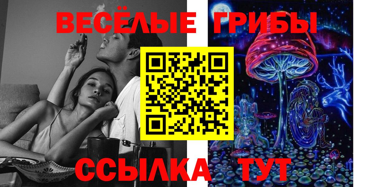 Галлюциногенные грибы Cubensis  Дятьково  Псилоцибиновые грибы мухоморы 