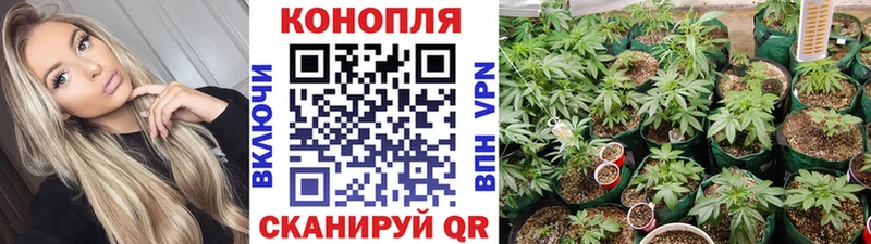 Канабис Bruce Banner omg рабочий сайт Дятьково